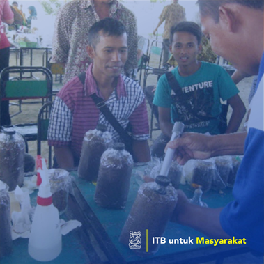 Pengembangan Kelompok Upat-Upat Bumi Sebagai Sentra Pembinaan Budidaya Jamur Tiram Di Kecamatan Randublatung, Blora