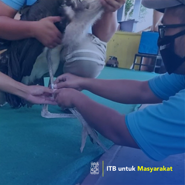 Pelatihan dan Pemetaan Keanekaragaman Tumbuhan serta pemasangan penanda individu pada burung bangau tongtong di Kebun Binatang Bandung