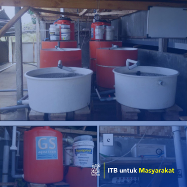 Aplikasi Teknologi Hybrid-Zero Water Discharge untuk Budidaya Udang Putih (Litopenaeus Vannamei) di Tangerang Selatan, Banten