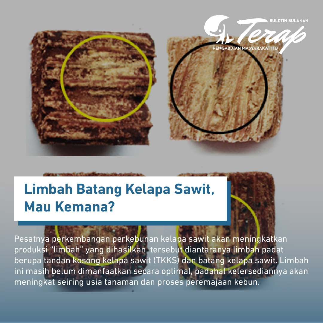 Batang Kelapa Sawit bukan Limbah