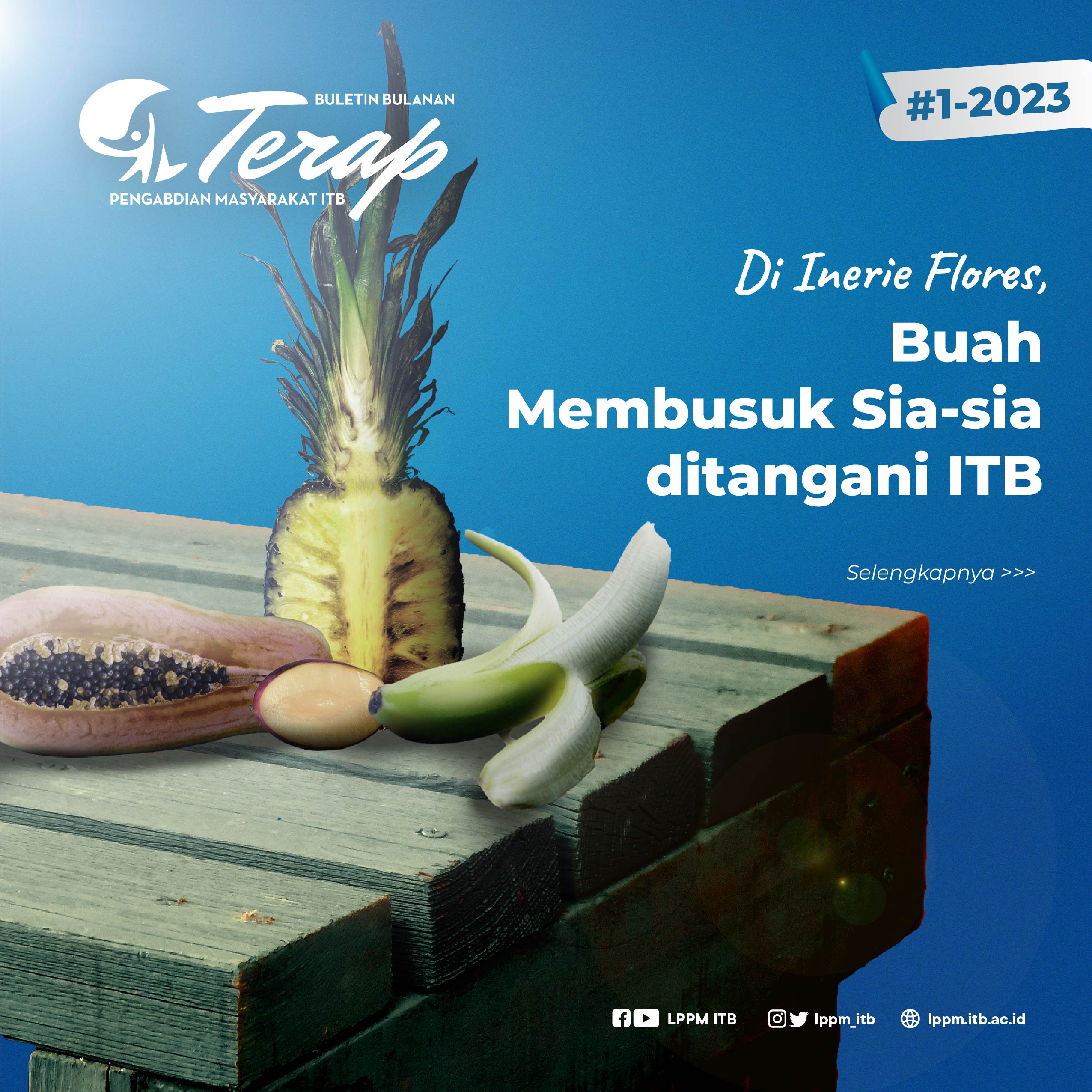 Di Inerie Flores, Buah Membusuk Sia-Sia ditangani ITB
