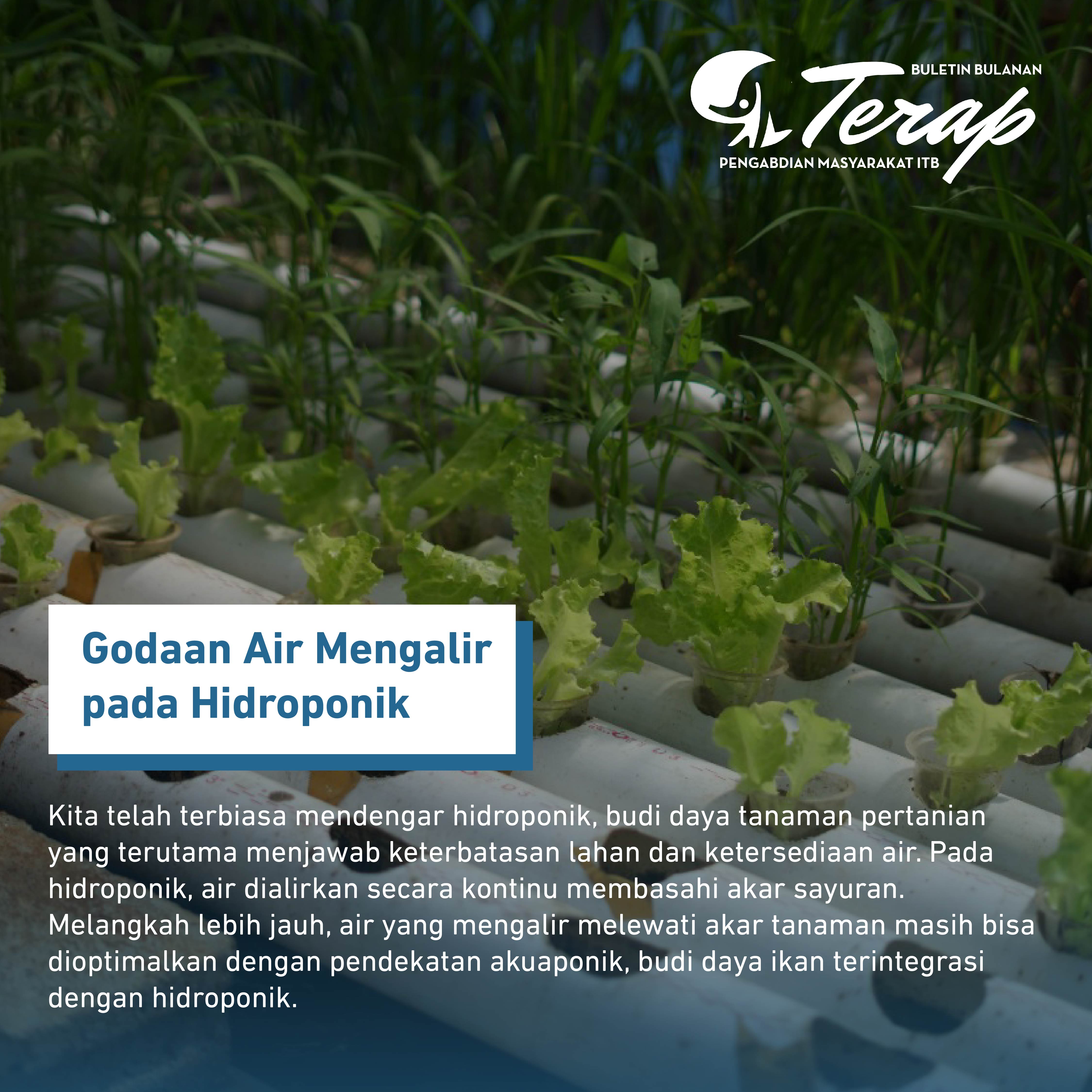 Akuaponik, Mengintegrasikan Budidaya Ikan dan Tanaman