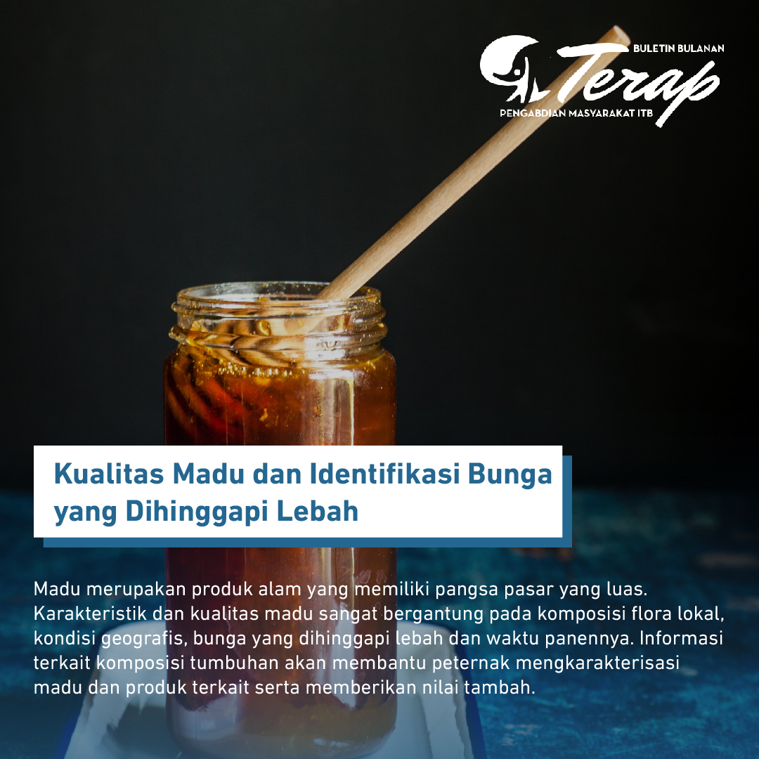 Di Bunga yang Mana Lebah Hinggap?