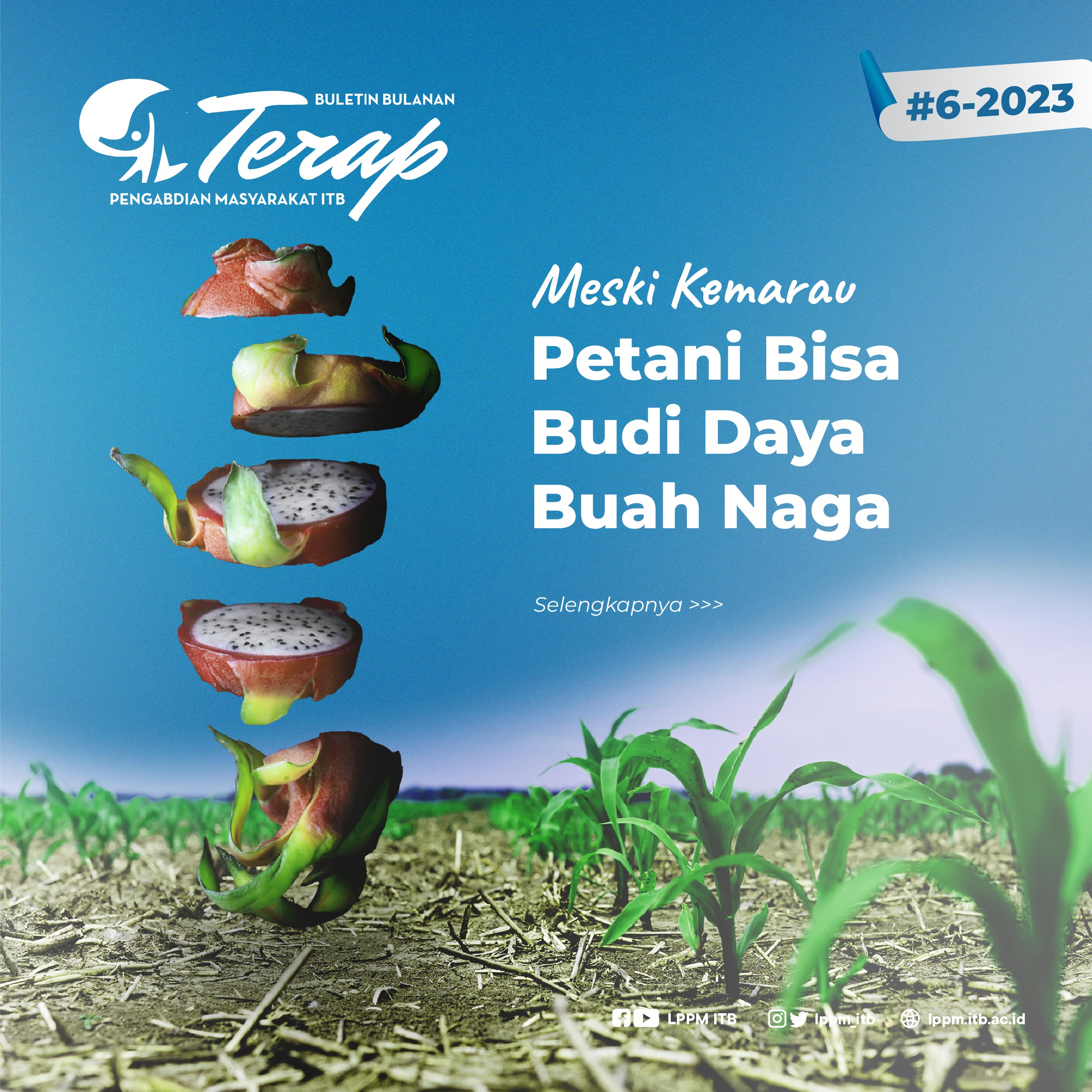 Meski Kemarau, Petani Bisa Budi Daya Buah Naga