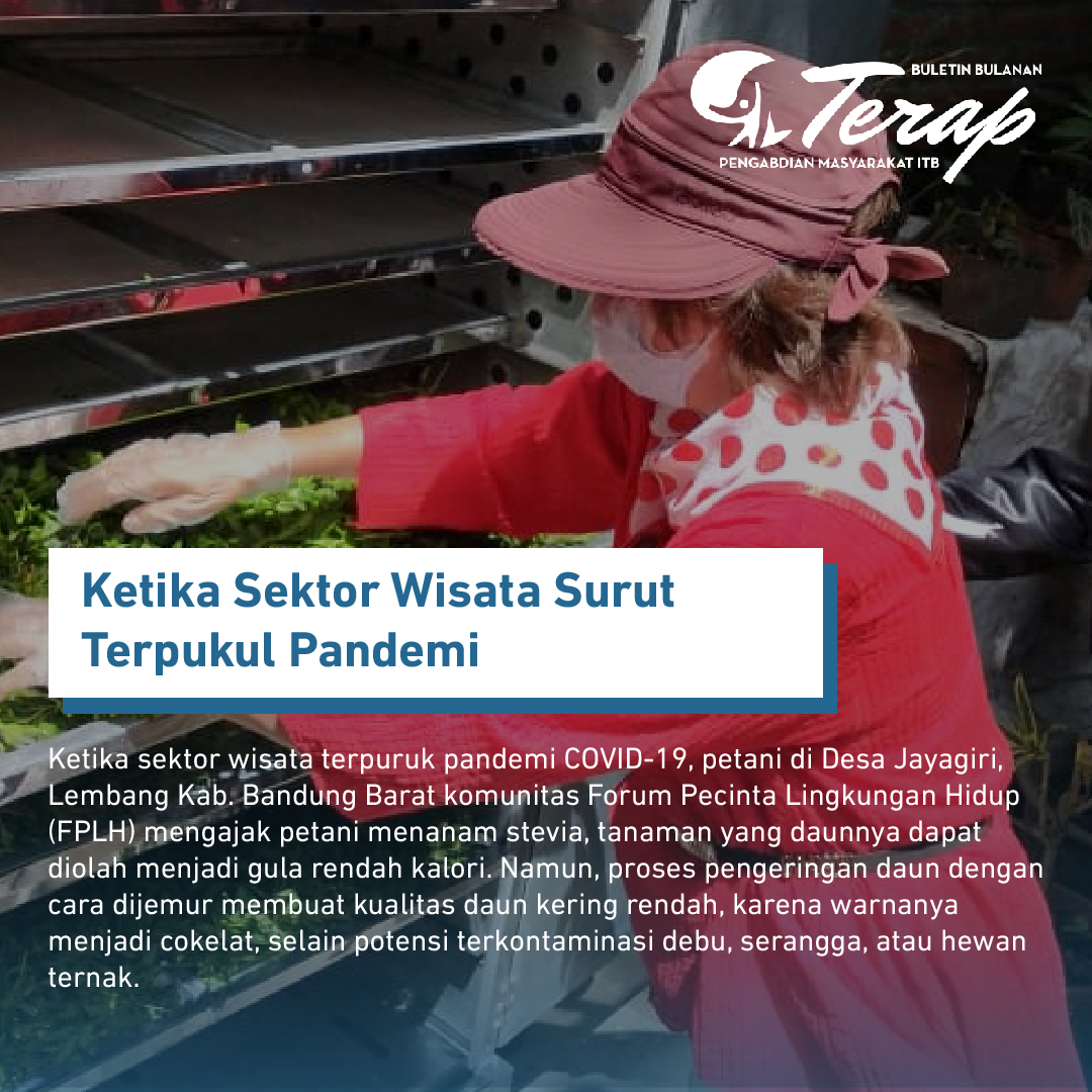 Agar Stevia Lebih Manis dan Higienis
