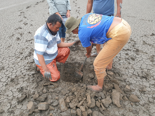 Potensi Unsur Tanah Jarang (Ree) Di Endapan Lumpur Lapindo, Sidoarjo, Jawa Timur