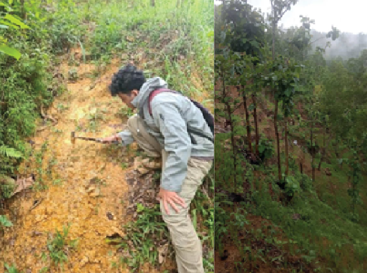 Studi Endapan Bentonit Pacitan Berdasarkan Analisis Xrd, Xrf, Makroskopi Dan Mikroskopi