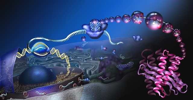 Buku Ajar Struktur dan Fungsi Biomolekul