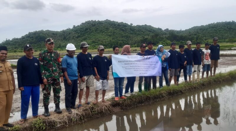 Peningkatan Kualitas Beras Melalui Penerapan Cara Budidaya dan Penanganan Pascapanen Padi yang Baik di Desa Aha, Morotai Selatan, Kabupaten Pulau Morotai, Maluku Utara